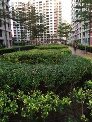 Blk 654C Jurong West Street 61 (Jurong West), HDB 5 Rooms #211722481